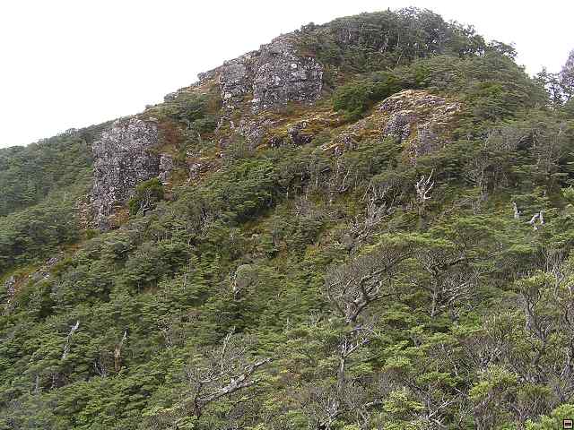 NZ leden-unor 2006 176.jpg